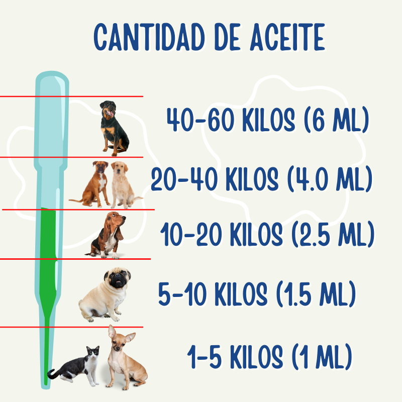 10 pipetas anikill para gato y perro - Tienda de Mascotas | pipetas antipulgas anikill y extermin