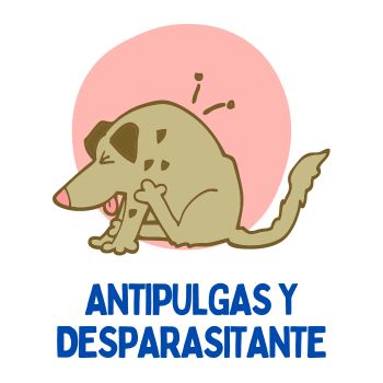 Pipetas antipulgas y desparasitante perros y gatos