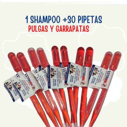 1 shampoo y 30 pipetas garrapatas - Tienda de Mascotas | pipetas antipulgas anikill y extermin