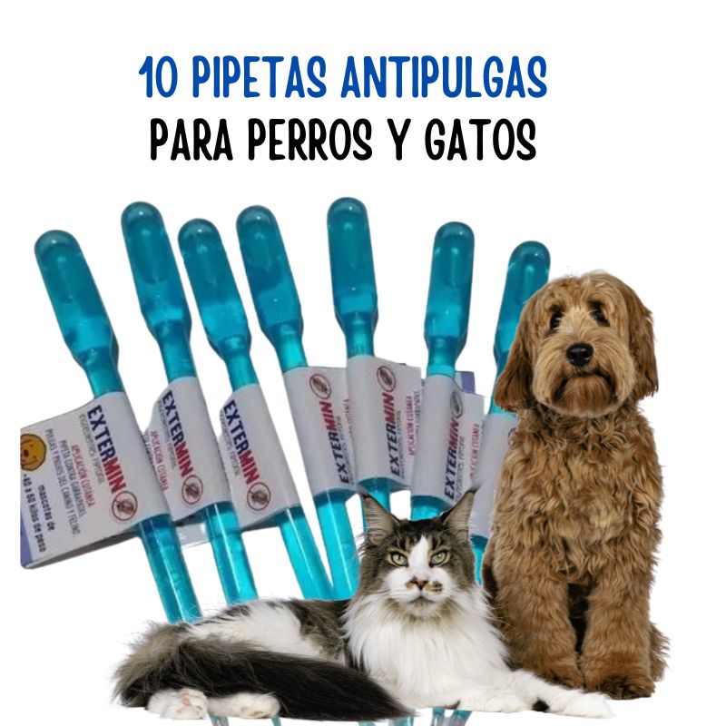 10 pipetas antipulgas perro y gatos - Tienda de Mascotas | pipetas antipulgas anikill y extermin