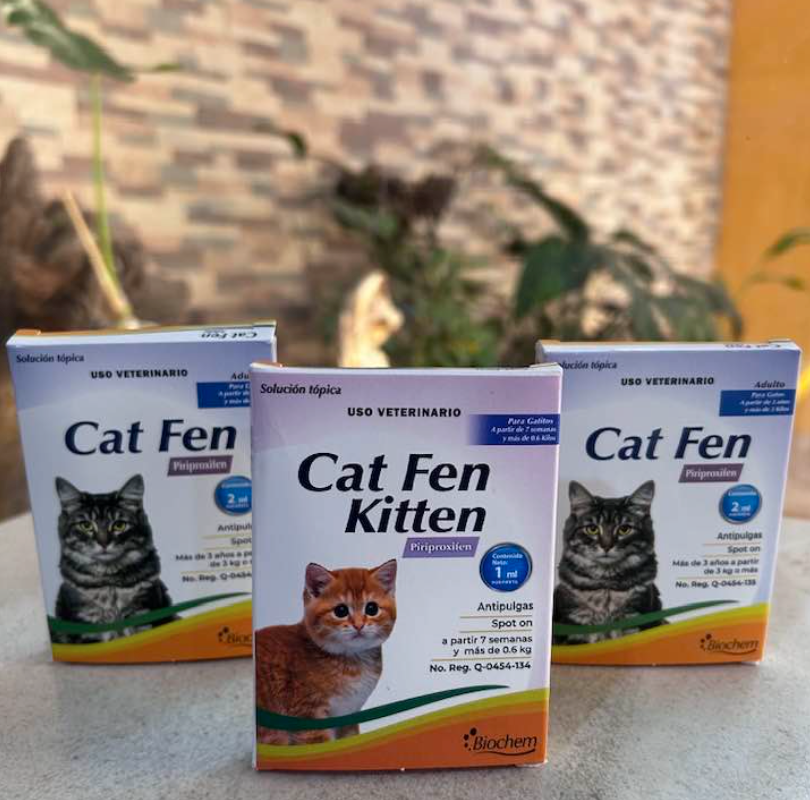 Cat Fen pipetas antipulgas para gato