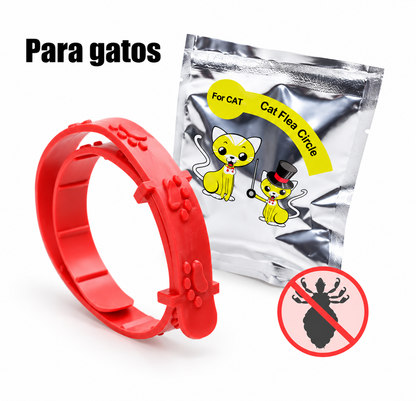 2 collares antipulgas para gatos - Tienda de Mascotas | pipetas antipulgas anikill y extermin