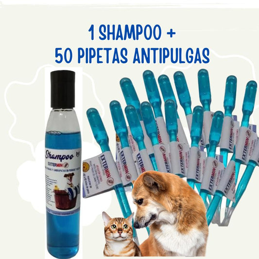 antipulgas fipronil 50 pipetas perros y gatos + 1 shampoo - Tienda de Mascotas | pipetas antipulgas anikill y extermin