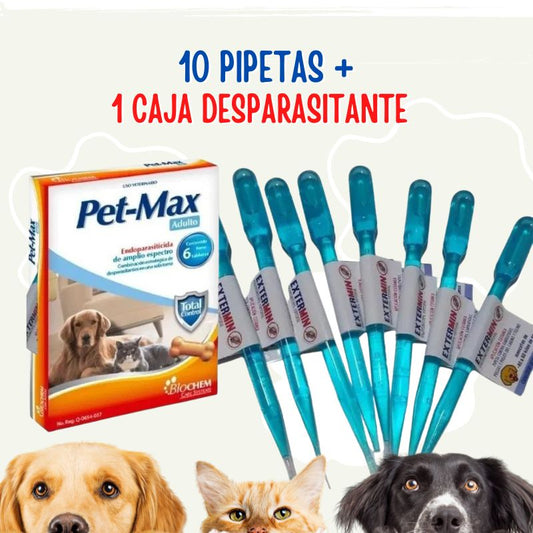 Kit 1 cajas desparasitante y 10 pipetas antipulgas perro y gato - Tienda de Mascotas | pipetas antipulgas anikill y extermin